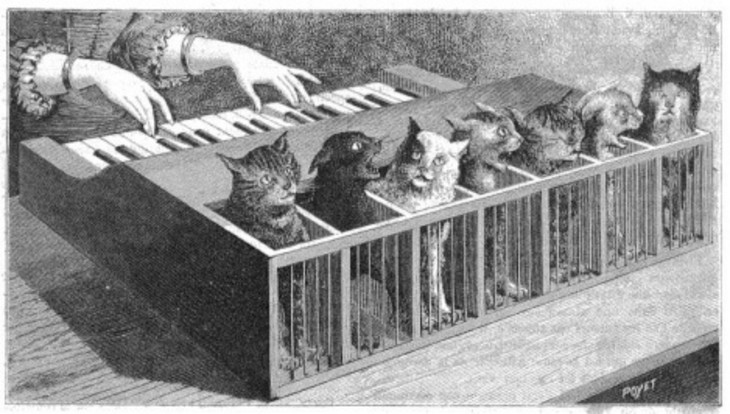 Poyet 'Cat-Keyboard (Katzenklavier)'