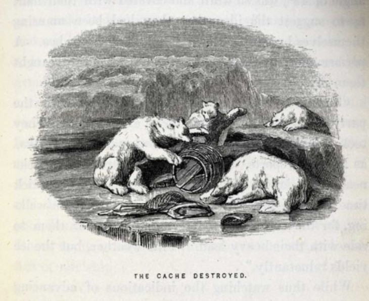 'The Cache Destroyed', Wood engraving from Elisha Kent Kane, Arctic Explorations in the Years 1853, '54, '55 1856