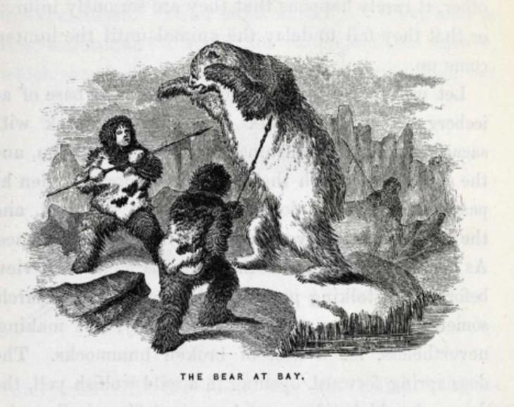 'The Bear at Bay', Wood engraving from Elisha Kent Kane, Arctic Explorations in the Years 1853, '54, '55 1856