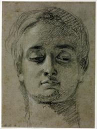 Head
