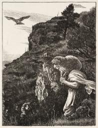 Shepherd