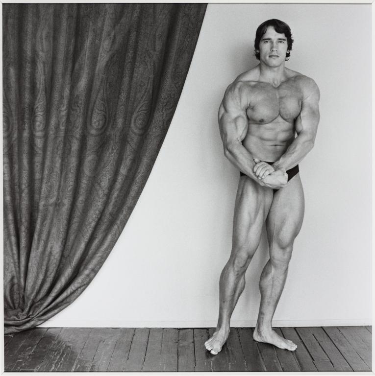 728px x 730px - Arnold Schwarzenegger Nude Gay | Gay Fetish XXX