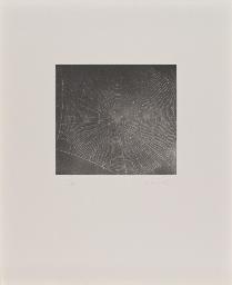 Untitled (Web 2), Vija Celmins, 2001, Mezzotint on paper