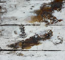 Natural History, Joseph Beuys, 1964–82, Household paint, shellac and sand on board