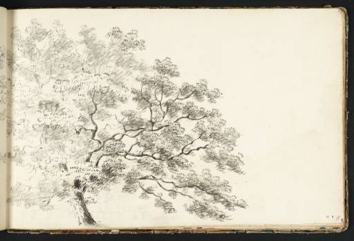 Joseph Mallord William Turner, ‘A Tree, with a Line of Trees Beyond’ c.1789