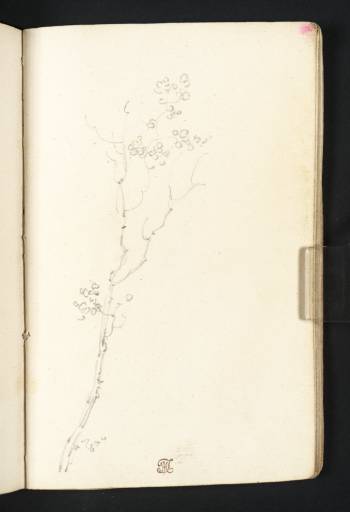 Joseph Mallord William Turner, ‘A Branch with a Few Leaves’ c.1794