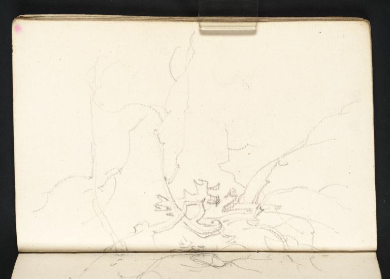 Joseph Mallord William Turner, ‘Study of Branches and Foliage’ c.1794