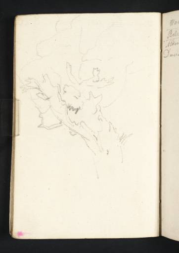 Joseph Mallord William Turner, ‘Study of ?a Pollarded Willow’ c.1794