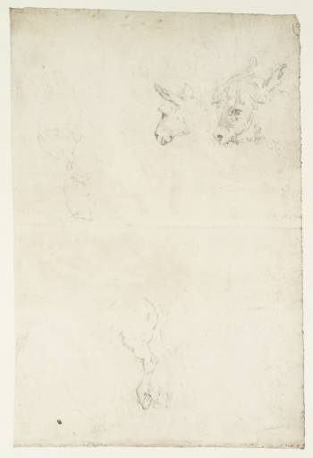 Joseph Mallord William Turner, ‘Studies of Animals: The Head of a Donkey; the Hind Legs of a Horse or Pony; a Pig’ ?1793