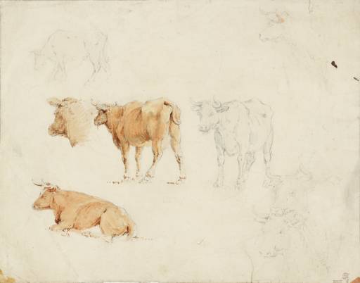 Joseph Mallord William Turner, ‘Studies of Cows’ c.1793