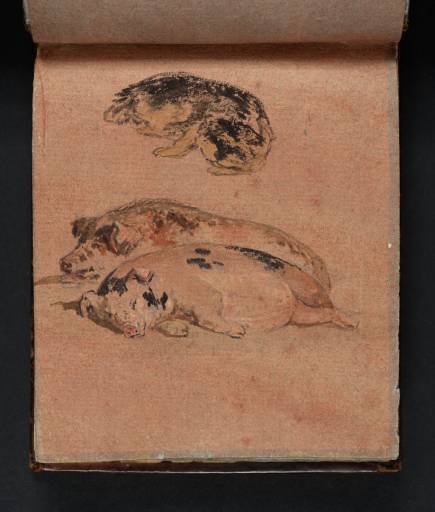 Joseph Mallord William Turner, ‘Studies of Pigs’ 1796
