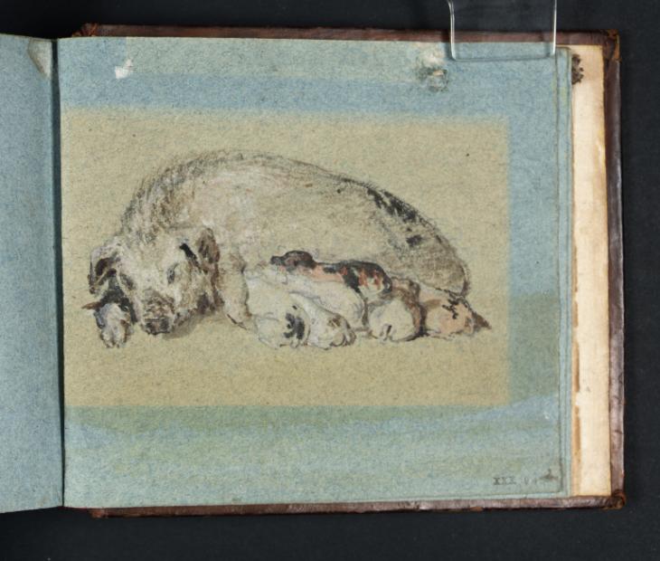 Joseph Mallord William Turner, ‘A Sow and Piglets’ 1796