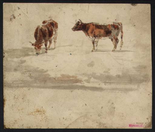 Joseph Mallord William Turner, ‘Study of Two Cows’ 1798