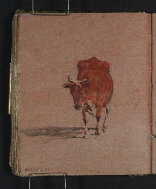 Joseph Mallord William Turner, ‘A Brown Cow, Seen from the Front’ 1796-7