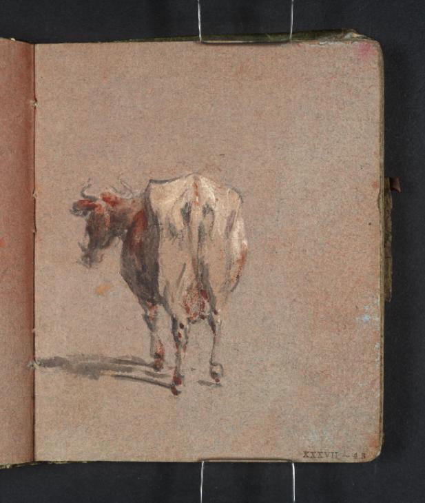Joseph Mallord William Turner, ‘A Brown and White Cow, Seen from Behind’ 1796-7