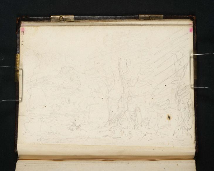 Joseph Mallord William Turner, ‘Composition Study: A Stormy Woodland Scene’ 1798