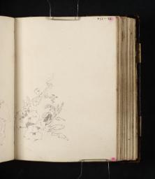 Studies of Roadside Plants, Joseph Mallord William Turner, 1798, Graphite on paper