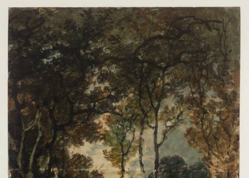 Joseph Mallord William Turner, ‘A Road through a Wood’ 1798