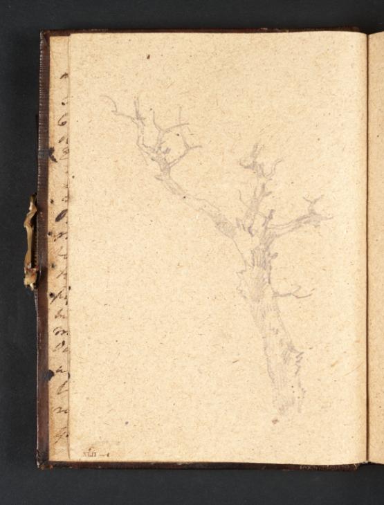 Joseph Mallord William Turner, ‘A Leafless Tree’ 1798-9