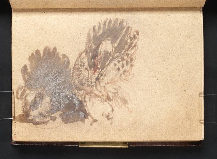 Joseph Mallord William Turner, ‘Two Turkeys’ ?1799