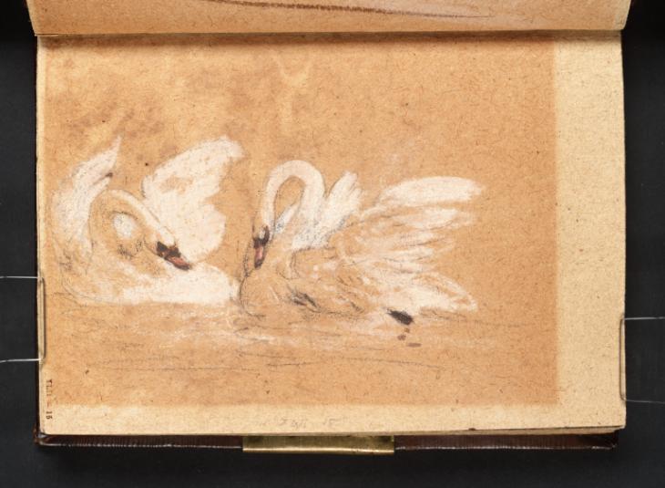 Joseph Mallord William Turner, ‘Two Swans’ ?1799