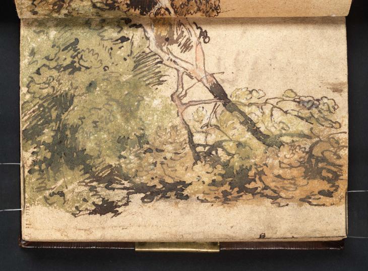 Joseph Mallord William Turner, ‘Broken Branches and Foliage’ ?1799