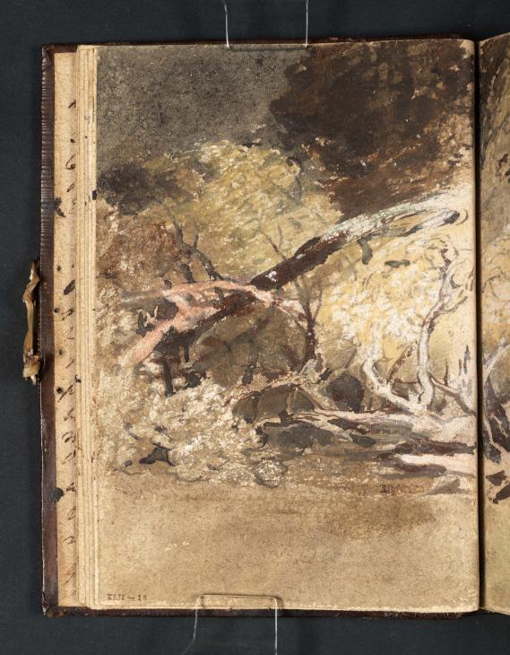 Joseph Mallord William Turner, ‘Fallen Branches and Foliage’ ?1799