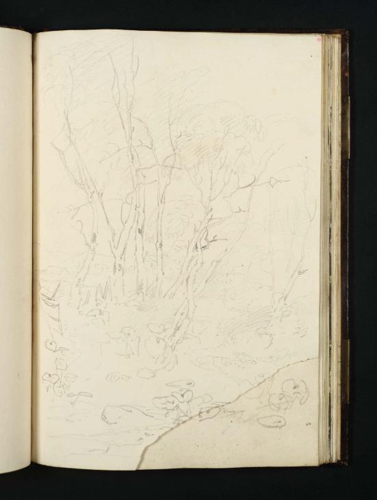 Joseph Mallord William Turner, ‘A Group of Young Trees beside a Stream, with Hills and Buildings Beyond’ 1799