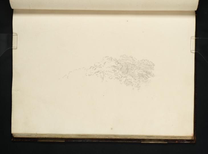Joseph Mallord William Turner, ‘The Foliage of a Group of Trees’ 1799