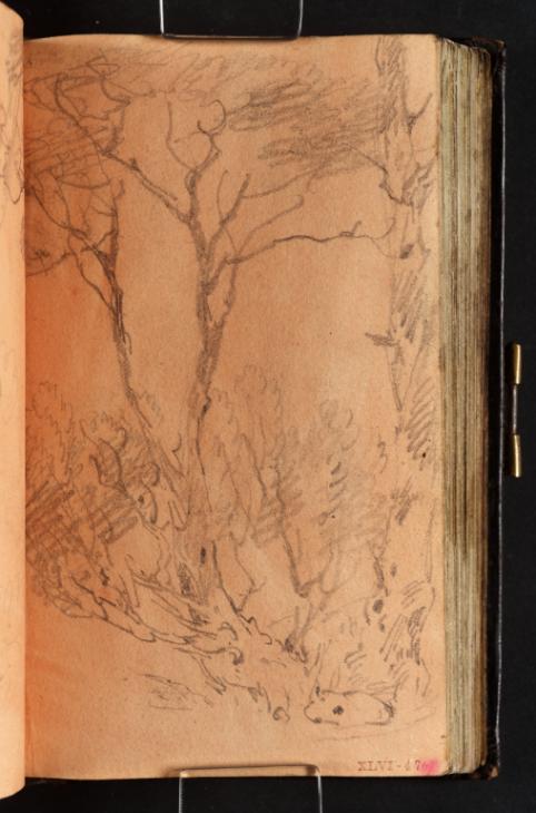 Joseph Mallord William Turner, ‘Trees’ 1799
