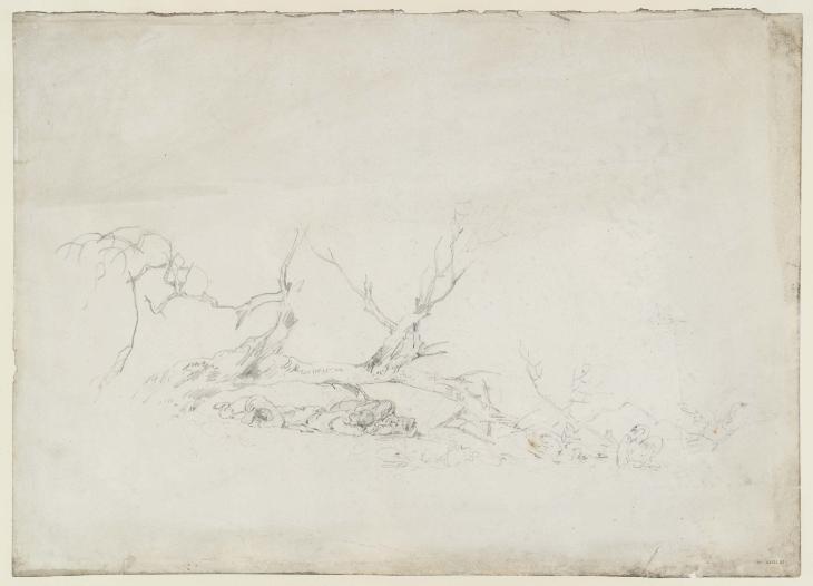 Joseph Mallord William Turner, ‘Men Asleep under a Fallen Tree near Water, with Swans Fighting’ ?1799