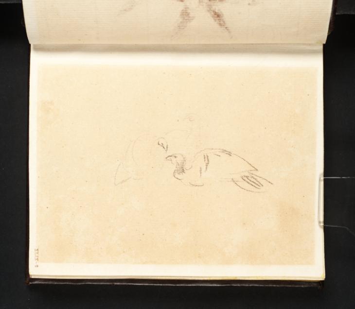 Joseph Mallord William Turner, ‘Three Hen Turkeys’ c.1799