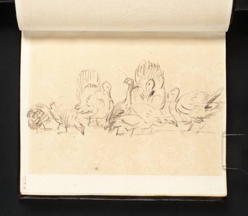 Joseph Mallord William Turner, ‘A Group of Turkeys’ c.1799