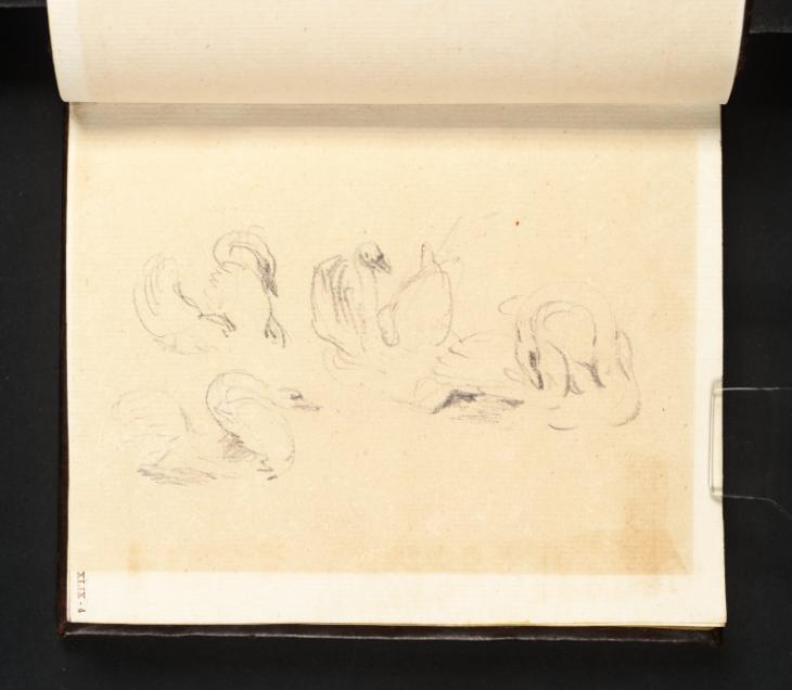 Joseph Mallord William Turner, ‘Four Studies of a Swan’ c.1799
