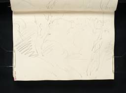 Sketch