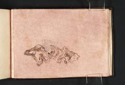 The Ruins of Rievaulx Abbey: Study of a Skeleton ?of a Bullock, Joseph Mallord William Turner, 1801, Graphite on paper