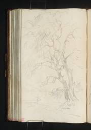 Sketch