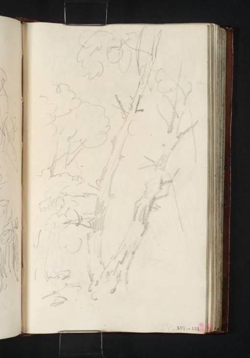 Joseph Mallord William Turner, ‘A Group of Trees in Taymouth Park’ 1801
