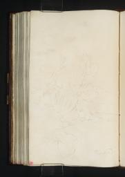 Trees along the Banks of ?the Tay at Dunkeld, Joseph Mallord William Turner, 1801, Graphite on paper