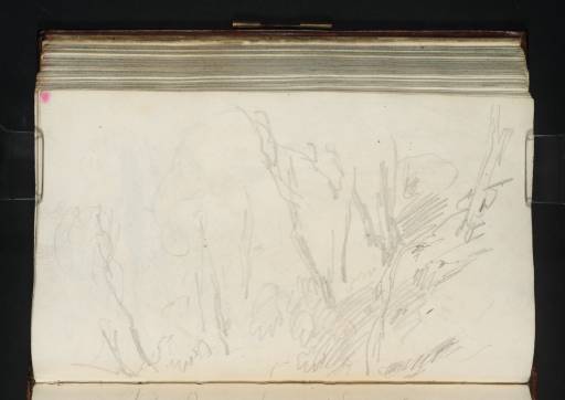 Joseph Mallord William Turner, ‘The Banks of the Tilt at Blair Atholl’ 1801