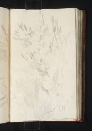The Banks of the Tilt at Blair Atholl, Joseph Mallord William Turner, 1801, Graphite on paper