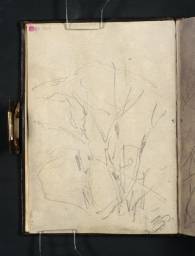 Dead Trees, with a Mountain Beyond, Joseph Mallord William Turner, 1801, Graphite on paper