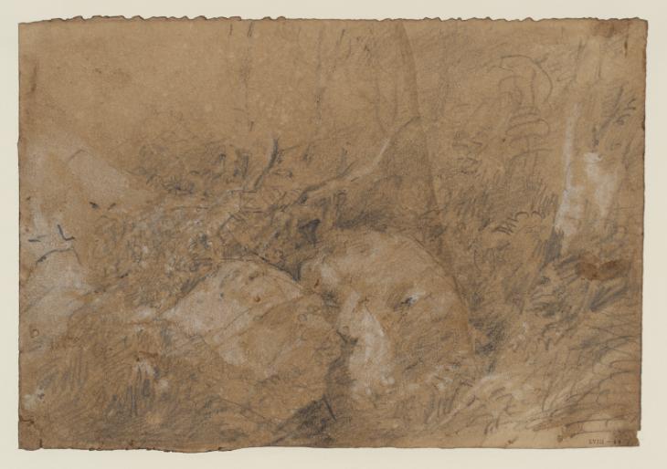 Joseph Mallord William Turner, ‘Silver Birch Stems, Rocks and Foliage’ 1801