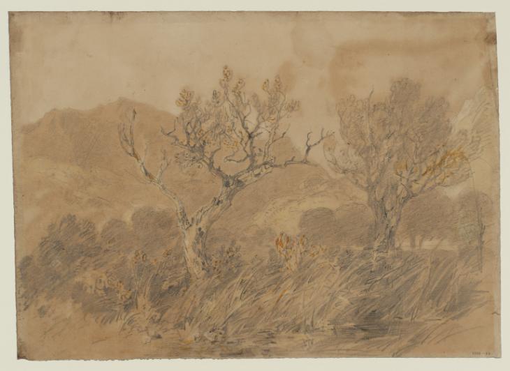 Joseph Mallord William Turner, ‘?In Glen Almond near Newton Bridge: Two Trees, with a Mountain Beyond’ 1801