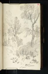 Sketch