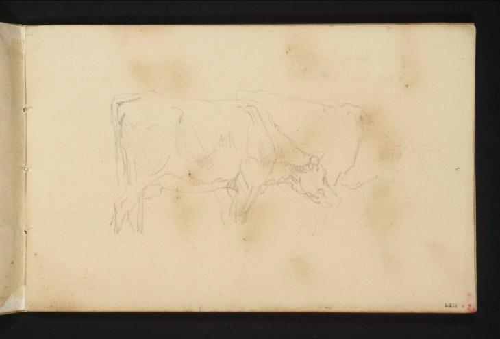 Joseph Mallord William Turner, ‘Two Cows Drinking, Seen from the Side’ c.1801