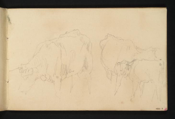 Joseph Mallord William Turner, ‘A Cow Grazing, and a Cow with her Calf’ c.1801