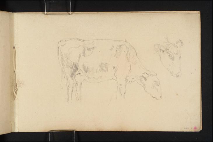 Joseph Mallord William Turner, ‘A Cow Grazing; a Study of its Head’ c.1801