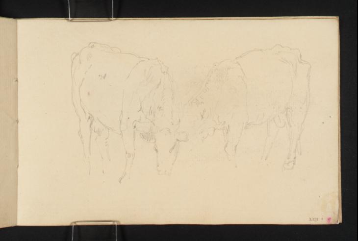 Joseph Mallord William Turner, ‘A Cow and a Bull’ c.1801