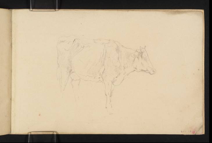 Joseph Mallord William Turner, ‘A Cow’ c.1801